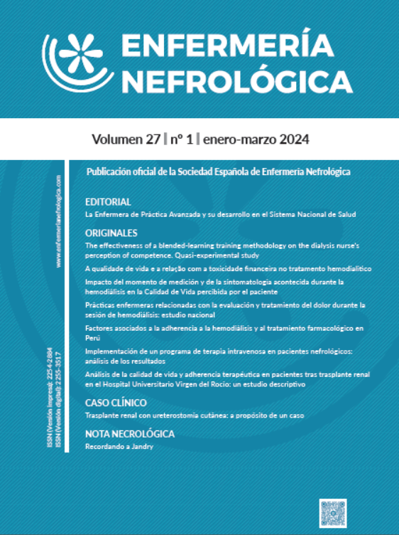Revista Enfermería Nefrológica nº 27, Volumen 1